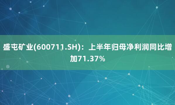 盛屯矿业(600711.SH)：上半年归母净利润同比增加71.37%