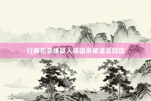 行贿犯罪嫌疑人薛国泉被遣返回国
