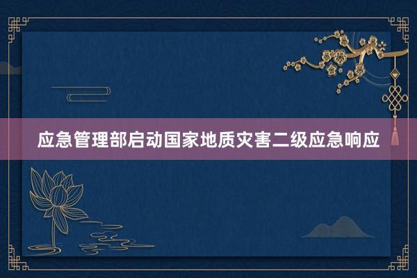 应急管理部启动国家地质灾害二级应急响应
