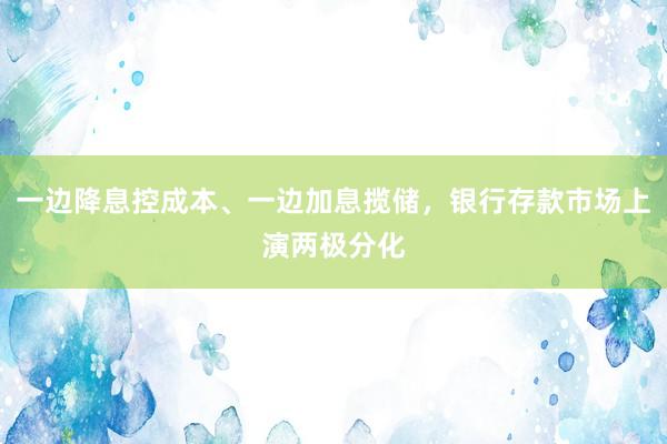 一边降息控成本、一边加息揽储，银行存款市场上演两极分化