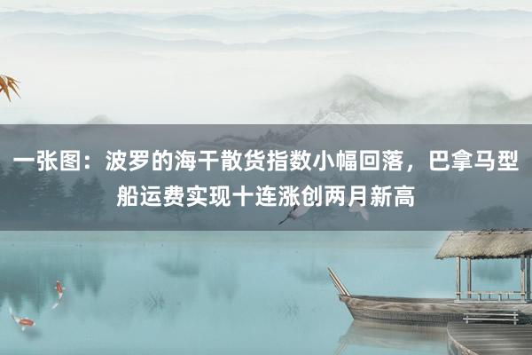 一张图：波罗的海干散货指数小幅回落，巴拿马型船运费实现十连涨创两月新高