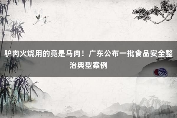 驴肉火烧用的竟是马肉！广东公布一批食品安全整治典型案例