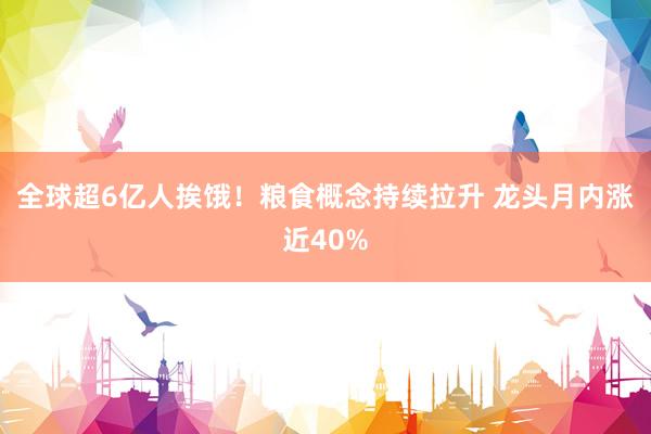 全球超6亿人挨饿！粮食概念持续拉升 龙头月内涨近40%