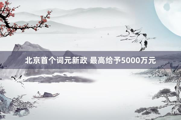 北京首个词元新政 最高给予5000万元