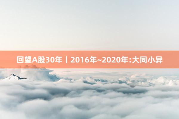 回望A股30年丨2016年~2020年:大同小异