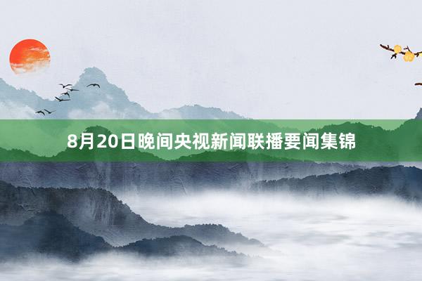 8月20日晚间央视新闻联播要闻集锦