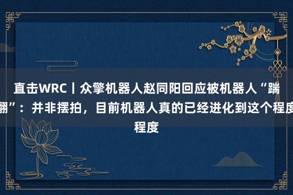 直击WRC丨众擎机器人赵同阳回应被机器人“踹翻”：并非摆拍，目前机器人真的已经进化到这个程度