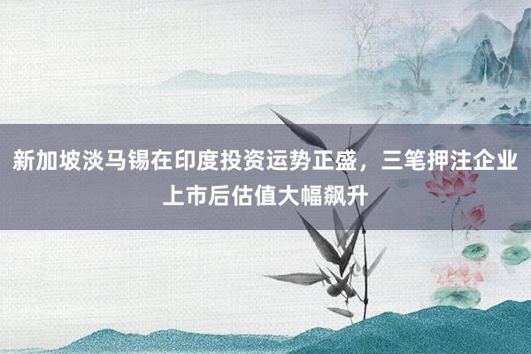 新加坡淡马锡在印度投资运势正盛，三笔押注企业上市后估值大幅飙升