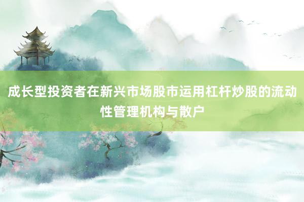 成长型投资者在新兴市场股市运用杠杆炒股的流动性管理机构与散户