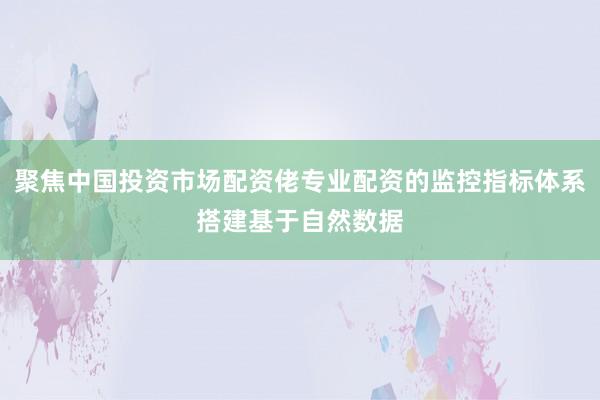 聚焦中国投资市场配资佬专业配资的监控指标体系搭建基于自然数据