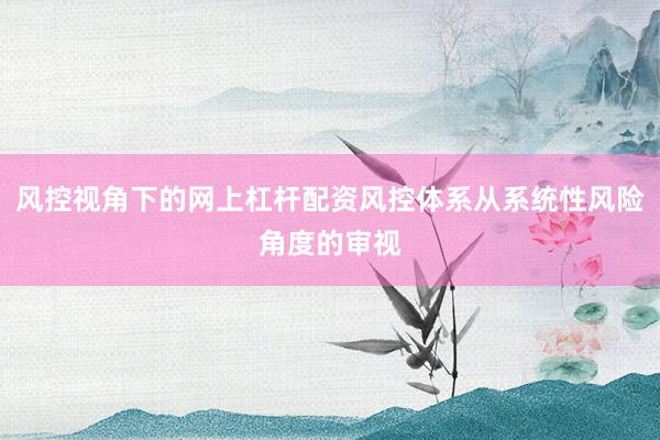 风控视角下的网上杠杆配资风控体系从系统性风险角度的审视
