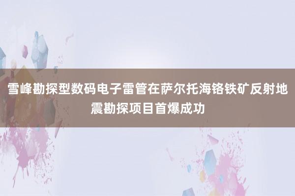 雪峰勘探型数码电子雷管在萨尔托海铬铁矿反射地震勘探项目首爆成功