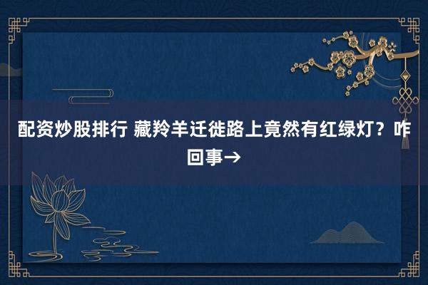 配资炒股排行 藏羚羊迁徙路上竟然有红绿灯？咋回事→