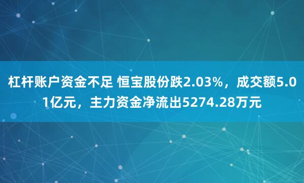 杠杆账户资金不足 恒宝股份跌2.03%，成交额5.01亿元，主力资金净流出5274.28万元