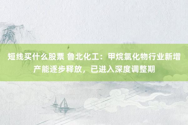 短线买什么股票 鲁北化工：甲烷氯化物行业新增产能逐步释放，已进入深度调整期