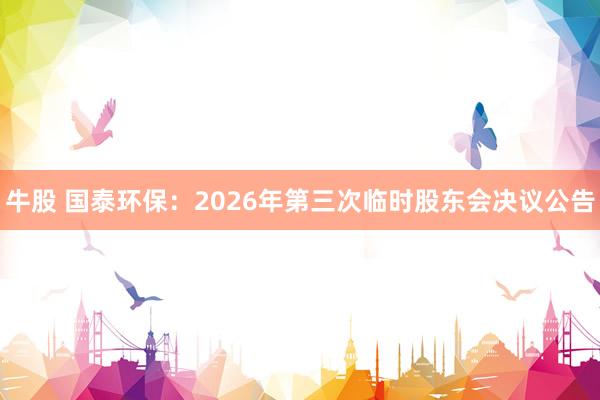 牛股 国泰环保：2026年第三次临时股东会决议公告