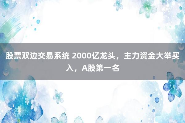 股票双边交易系统 2000亿龙头，主力资金大举买入，A股第一名