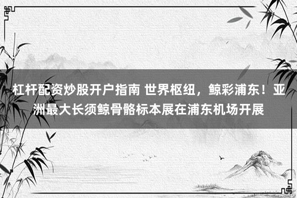 杠杆配资炒股开户指南 世界枢纽，鲸彩浦东！亚洲最大长须鲸骨骼标本展在浦东机场开展