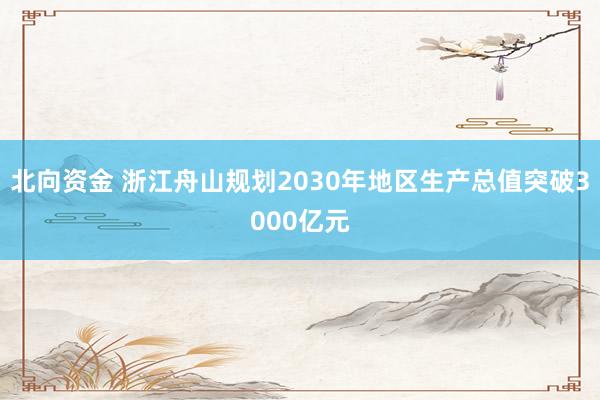 北向资金 浙江舟山规划2030年地区生产总值突破3000亿元