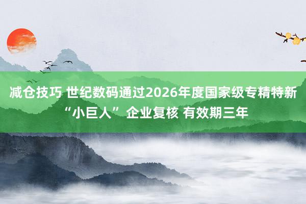减仓技巧 世纪数码通过2026年度国家级专精特新 “小巨人” 企业复核 有效期三年