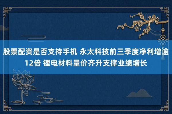 股票配资是否支持手机 永太科技前三季度净利增逾12倍 锂电材料量价齐升支撑业绩增长