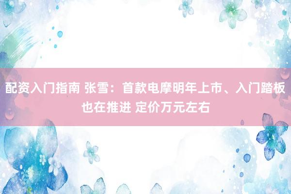 配资入门指南 张雪：首款电摩明年上市、入门踏板也在推进 定价万元左右