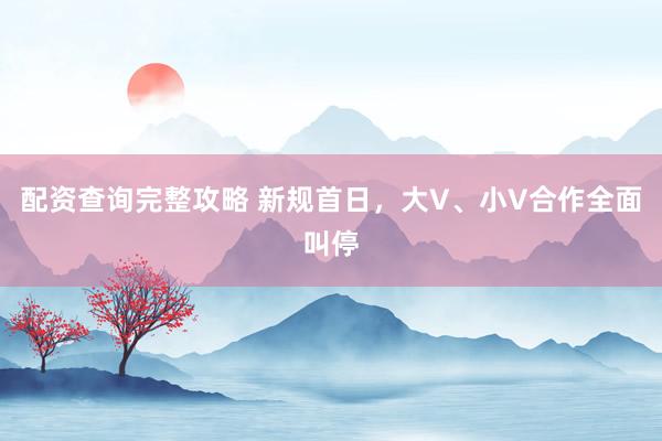 配资查询完整攻略 新规首日，大V、小V合作全面叫停