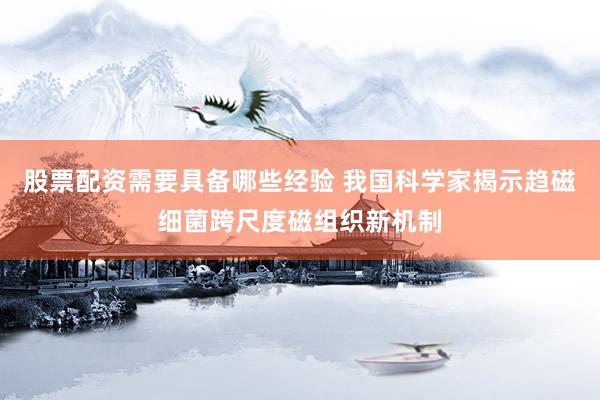 股票配资需要具备哪些经验 我国科学家揭示趋磁细菌跨尺度磁组织新机制